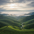 Asian Plateau Blend Landscape